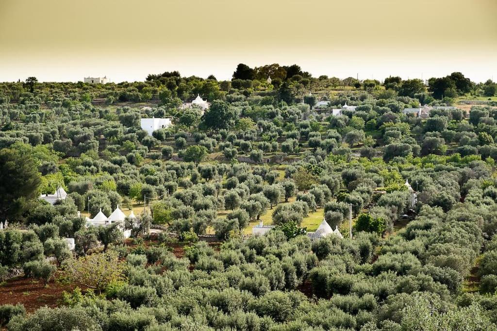 Villetta Da Zio Marcello Ostuni Εξωτερικό φωτογραφία